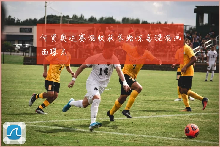 何资奥运赛场收获求婚惊喜现场画面曝光