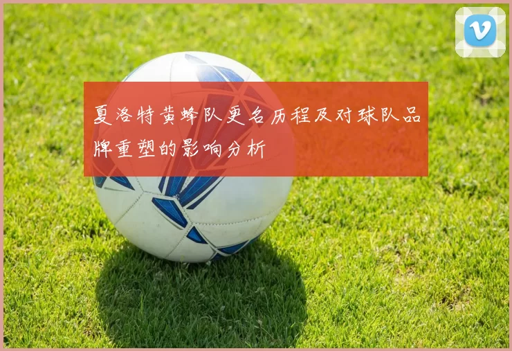 夏洛特黄蜂队更名历程及对球队品牌重塑的影响分析