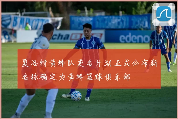 夏洛特黄蜂队更名计划正式公布新名称确定为黄蜂篮球俱乐部